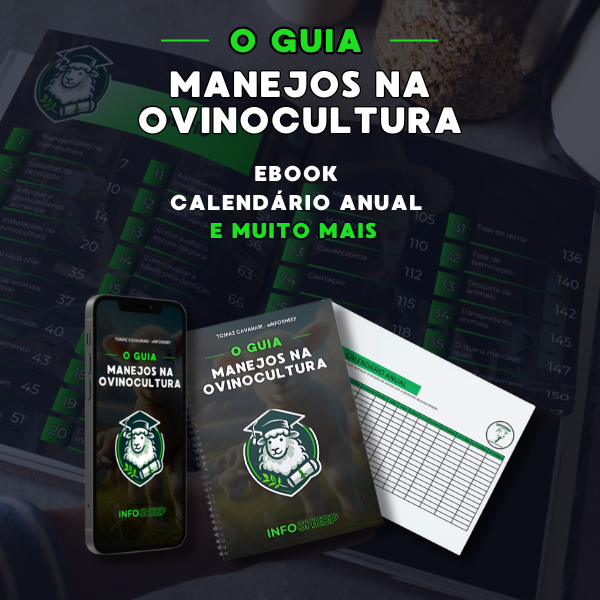 Guia de manejos - Ovinocultura