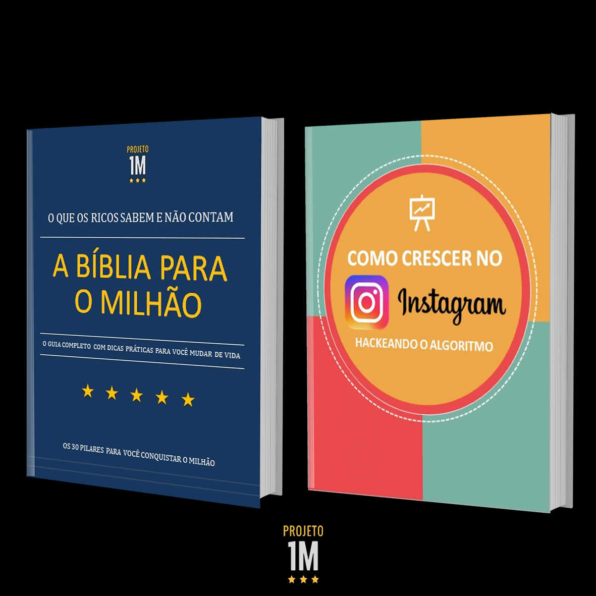 Transforme sua Vida Financeira com "A Bíblia para o Milhão"