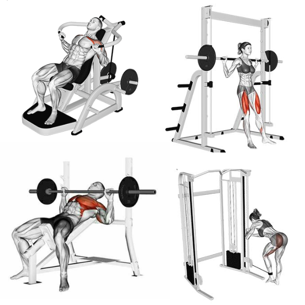 Método de Treino Perfeito: O Curso Que Vai Transformar Seus Treinos e Resultados