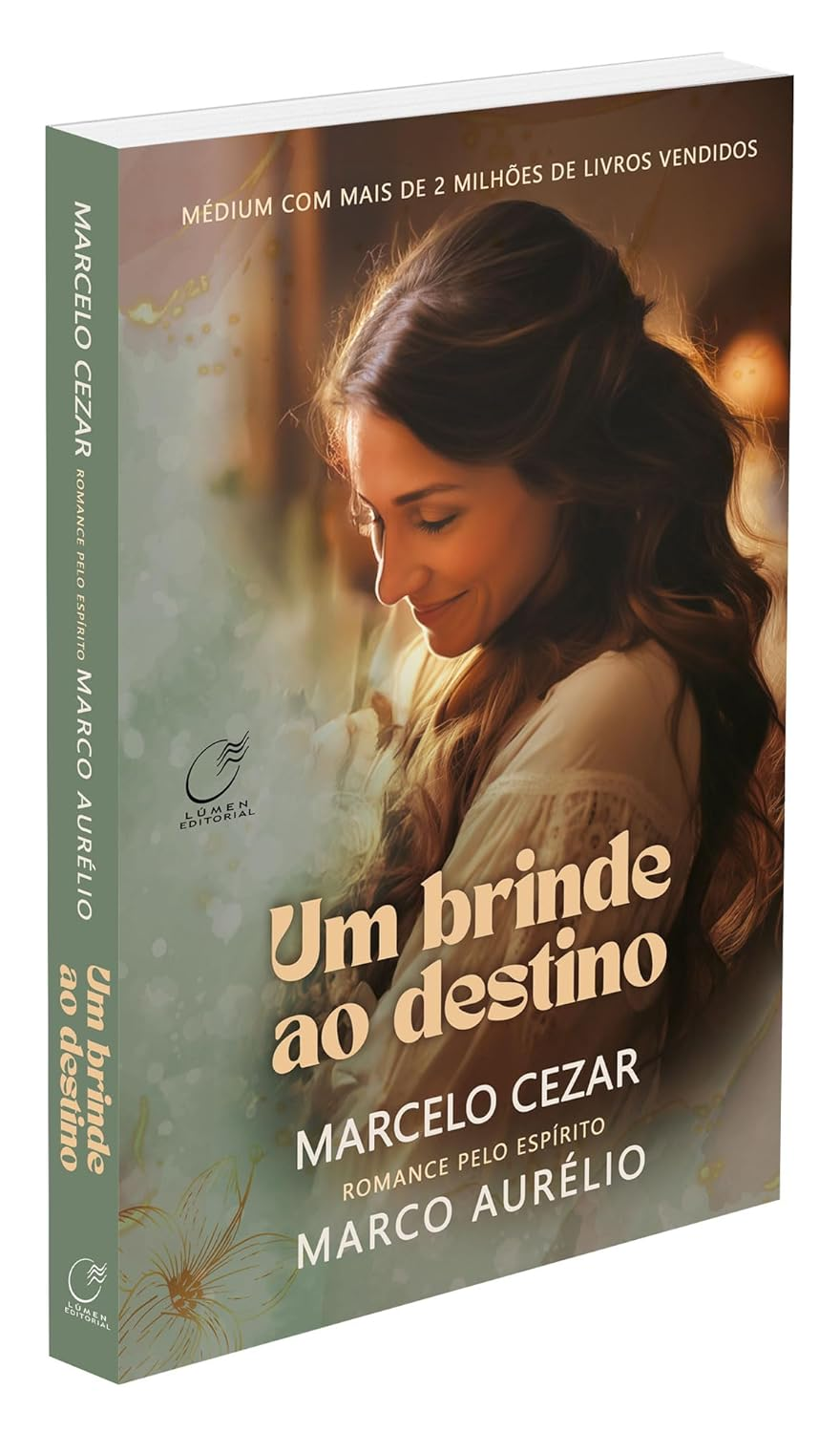 Um brinde ao destino – Marcelo Cezar | eBookPDF