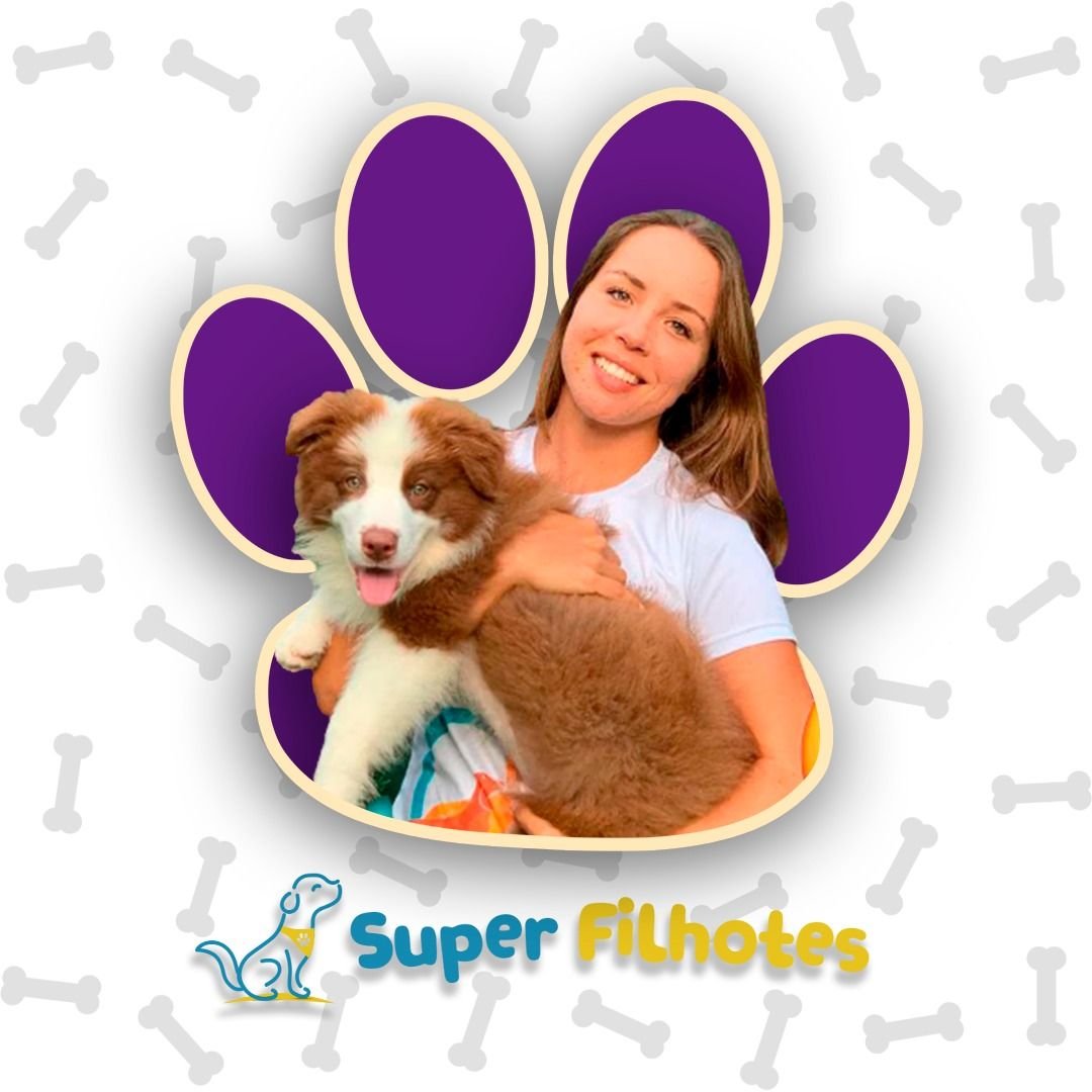 Como Ensinar o Cachorro a Fazer Xixi no Lugar Certo: O Guia Definitivo da Marina Volanski