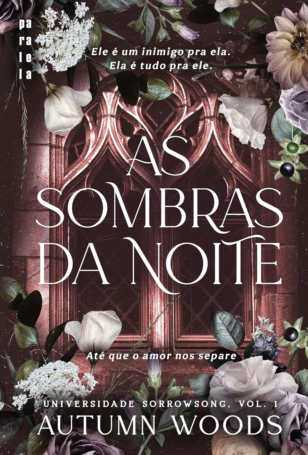 As Sombras da Noite: romance dark academia intenso