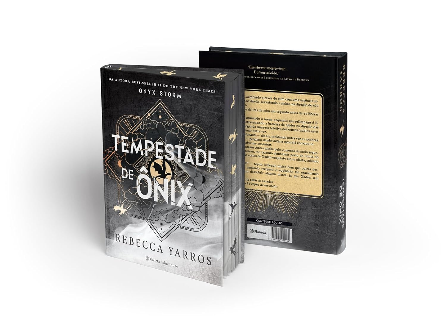 Tempestade de Ônix - Rebecca Yarros | O Empyriano