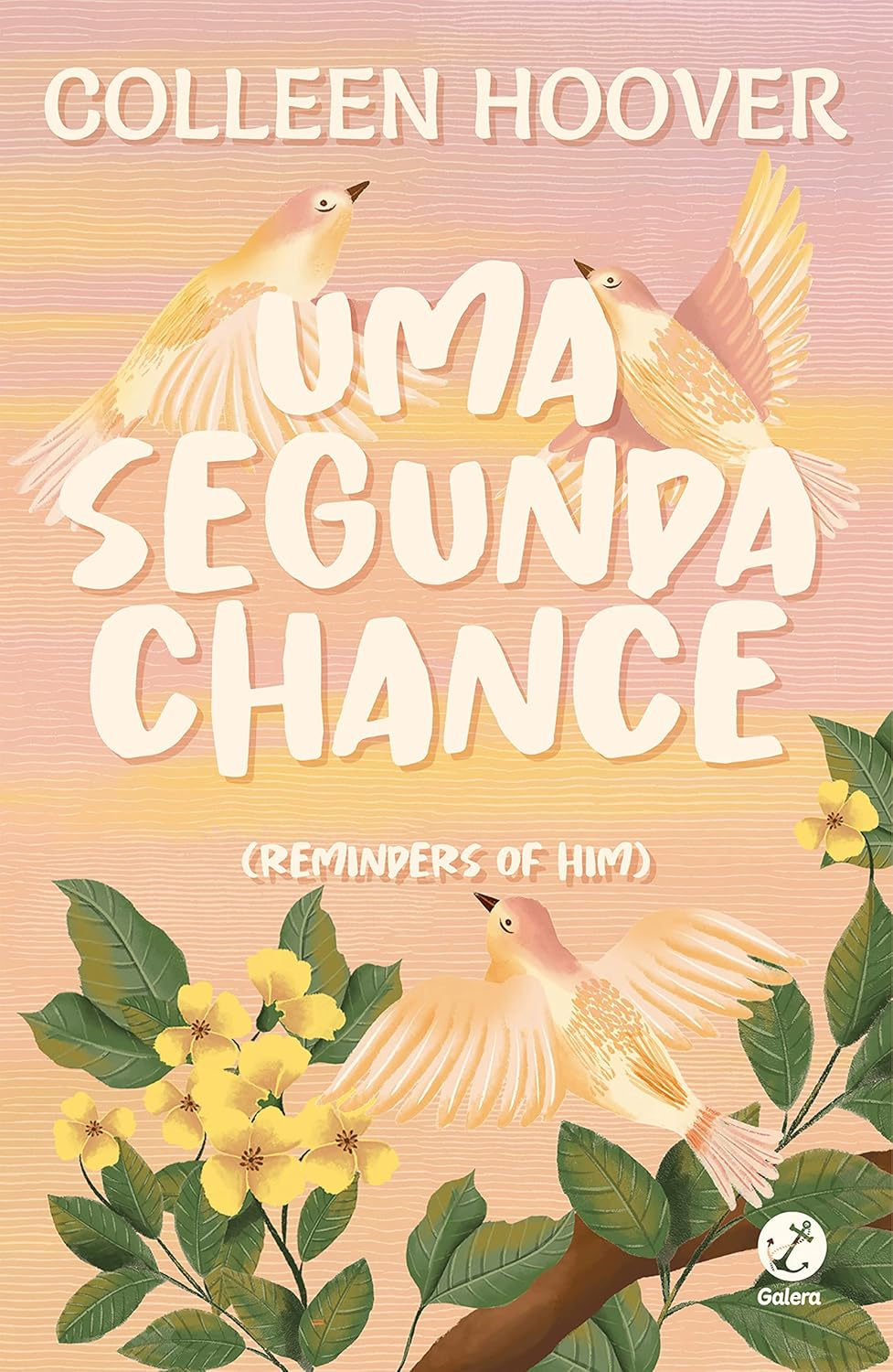 Uma segunda chance – Colleen Hoover | EbookPDF Redenção Perdão