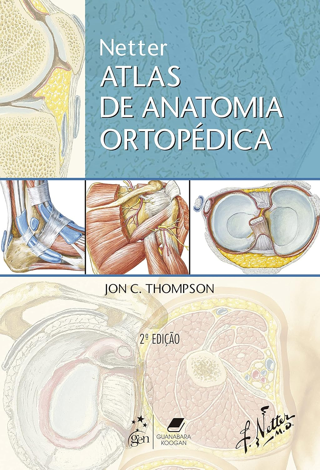 Netter Atlas de Anatomia Ortopédica - Jon C. Thompson | Ebook Ortopedia Visual