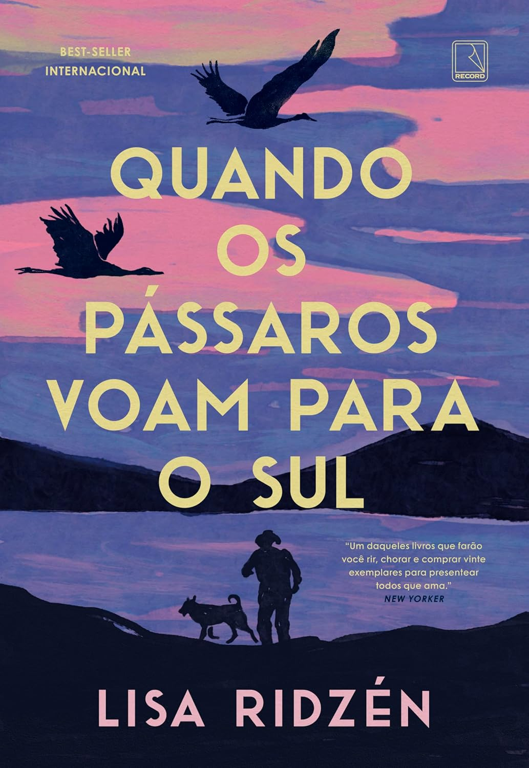 Quando os pássaros voam para o sul – Lisa Ridzén | Ebook e Memória