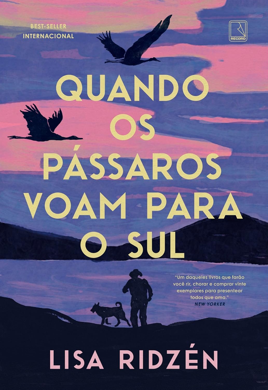 Quando os Pássaros Voam para o Sul — Lisa Ridzén, Resumo|ebook