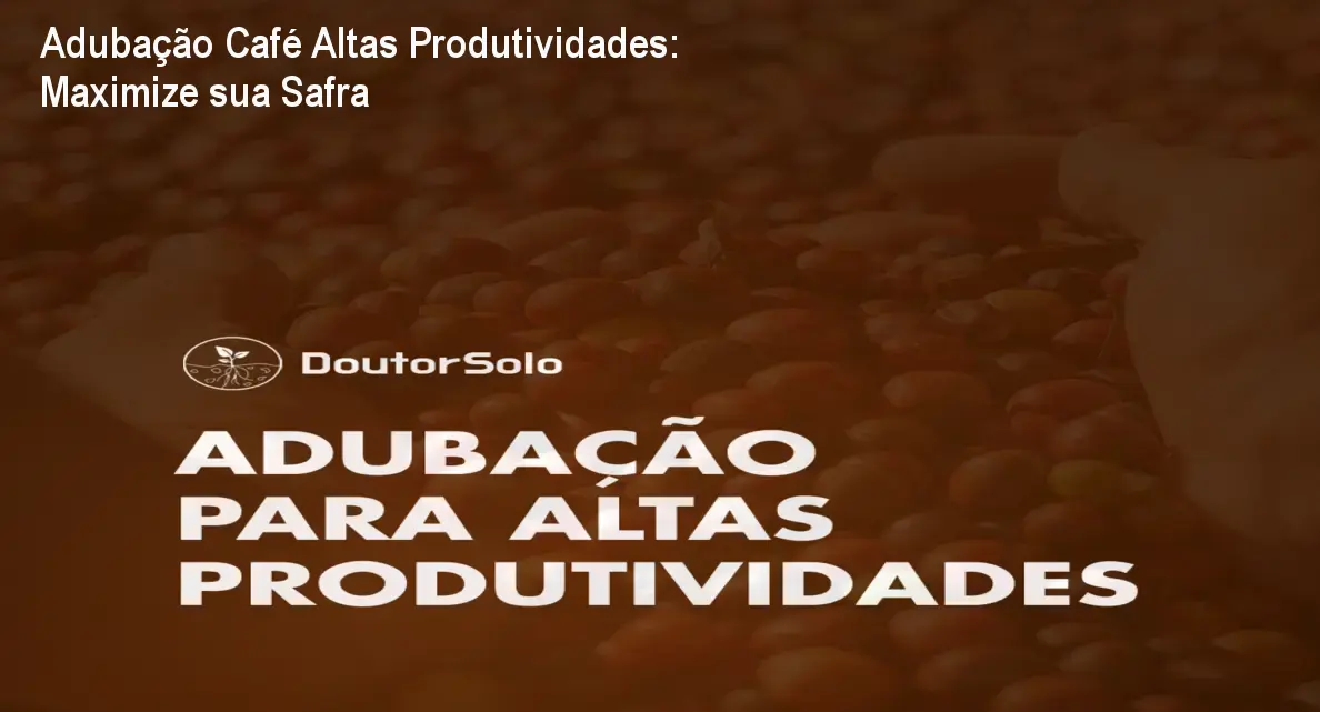 adubacao cafe altas produtividades 1