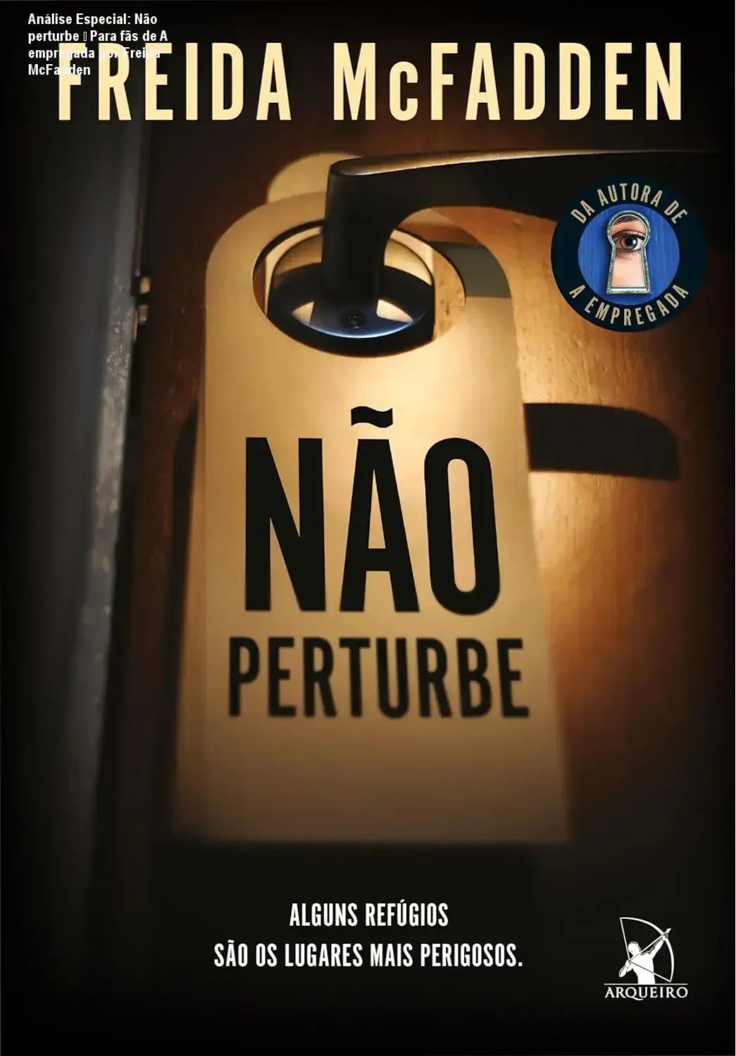 Análise Especial: Não perturbe – Para fãs de A empregada por Freida McFadden