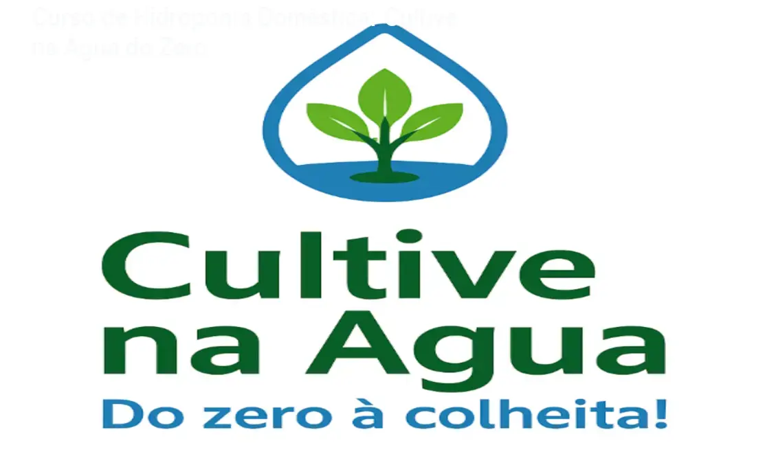 bruno palma cultive na agua do zero a colheita 1