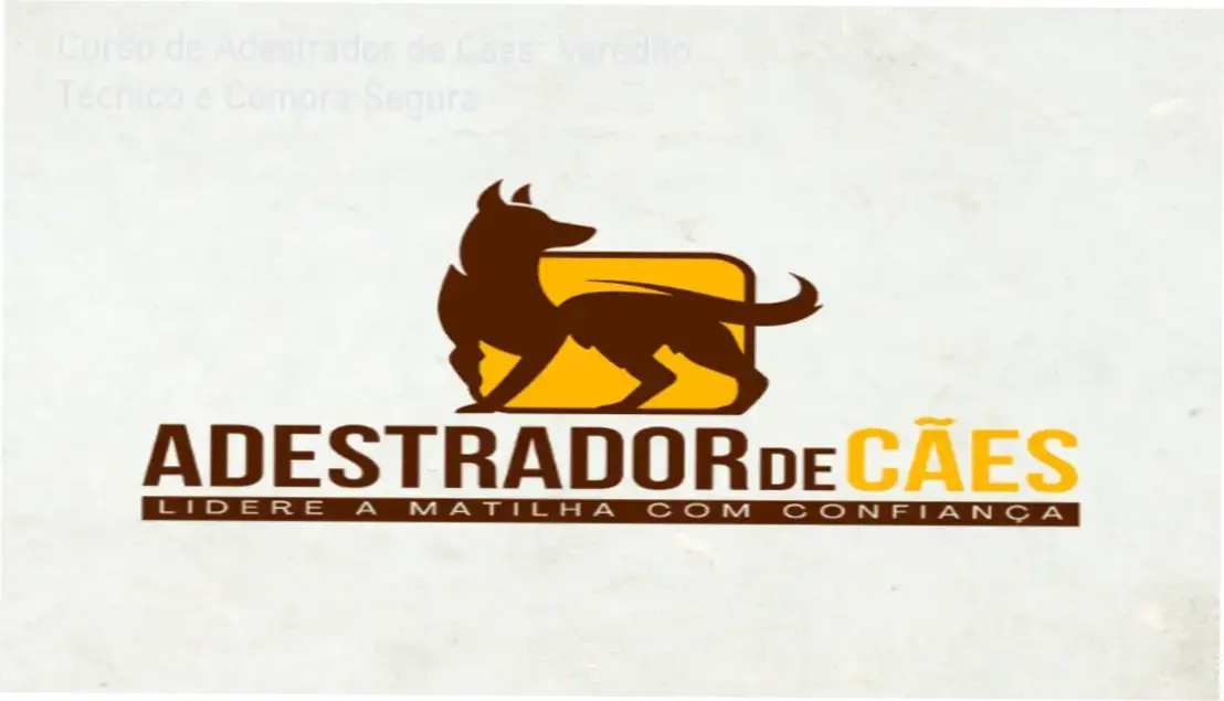 Imagem do certificado ABED do Curso de Adestrador de Cães da WebHoje
