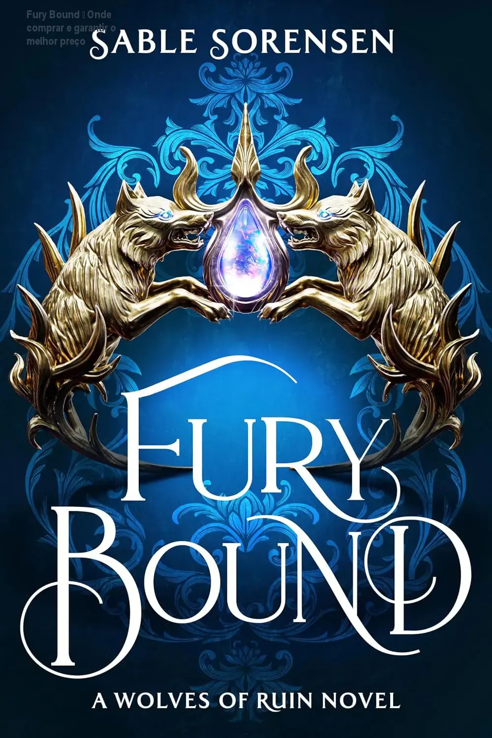 fury bound ebook kindle capa 1