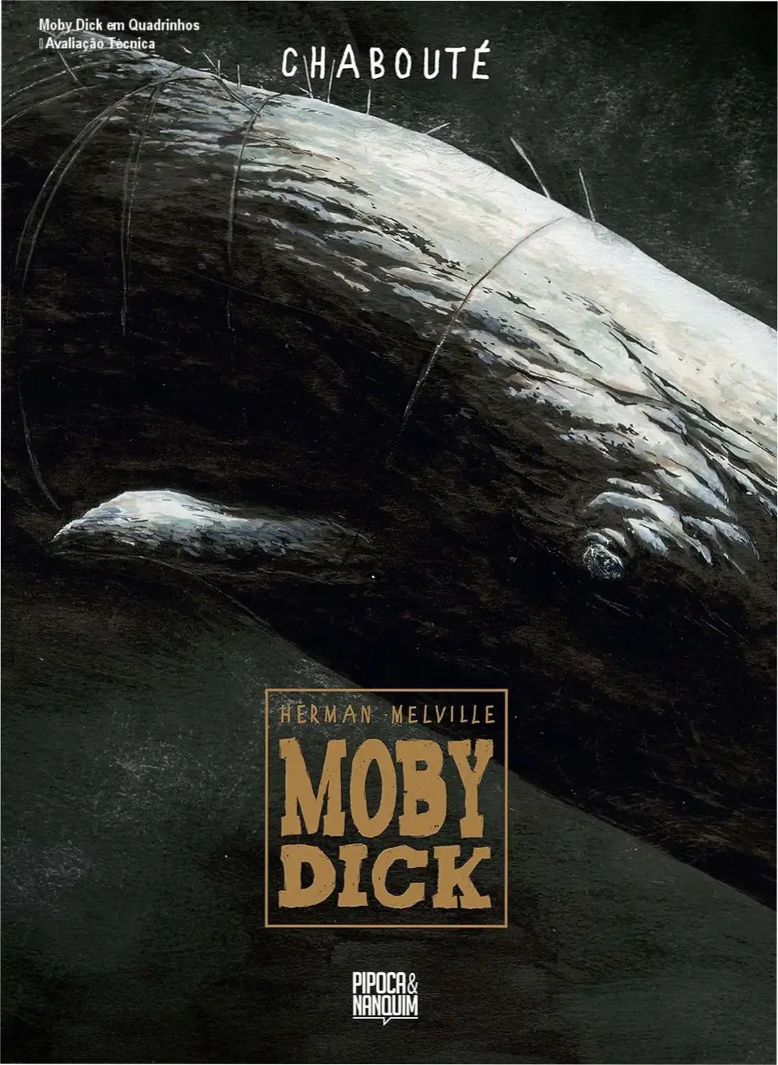 Moby Dick em Quadrinhos – Avaliação Técnica