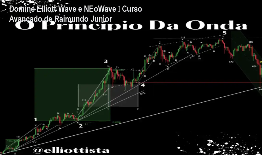 o principio da onda autorprodutor raimundo junior 1