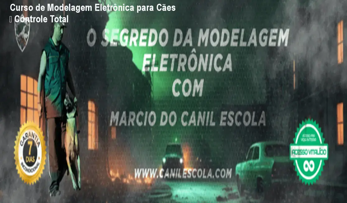 o segredo da modelagem eletronica marcio ferreira da silva 1