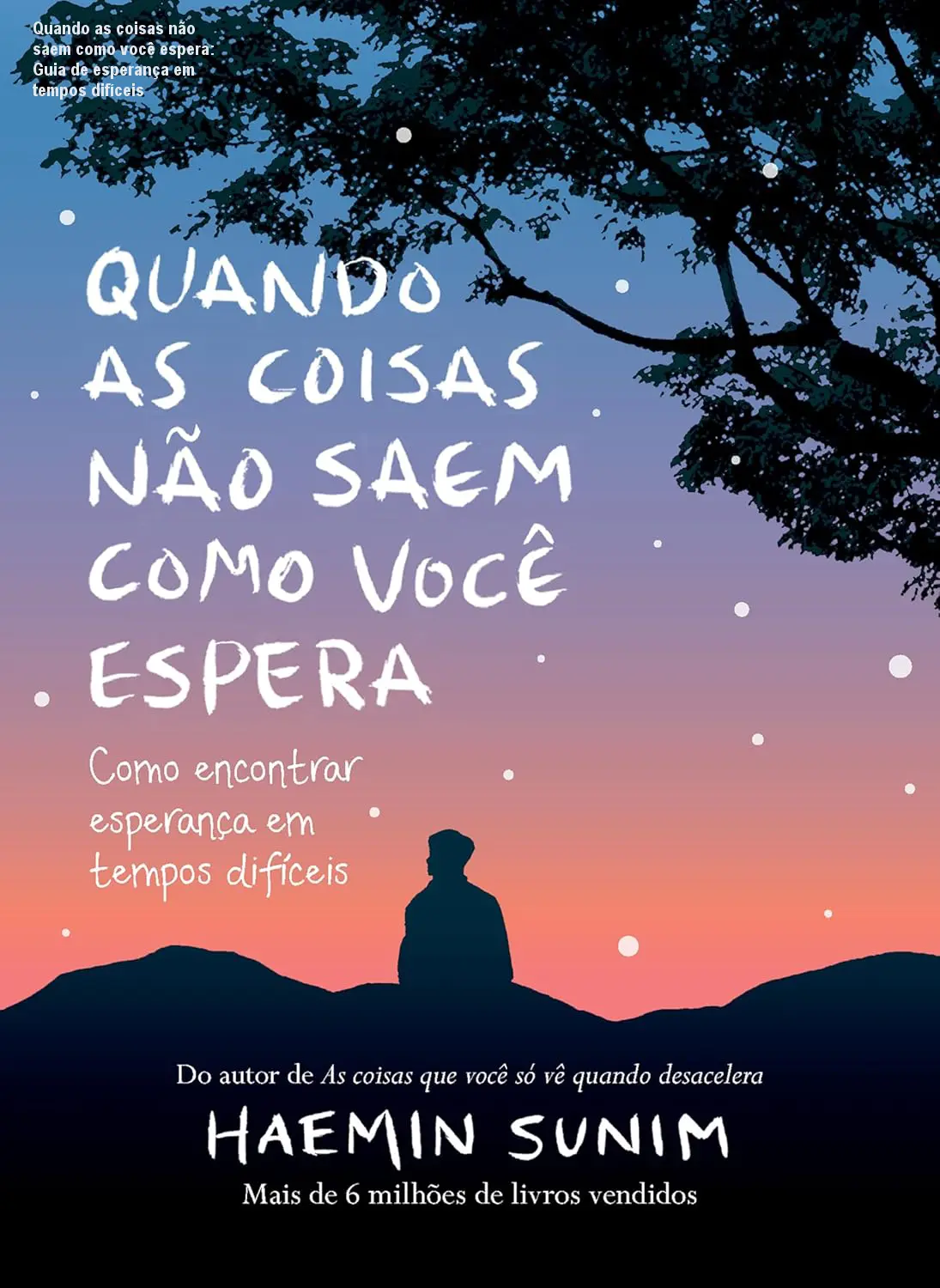 quando as coisas nao saem como voce espera como encontrar esperanca em tempos dificeis 1