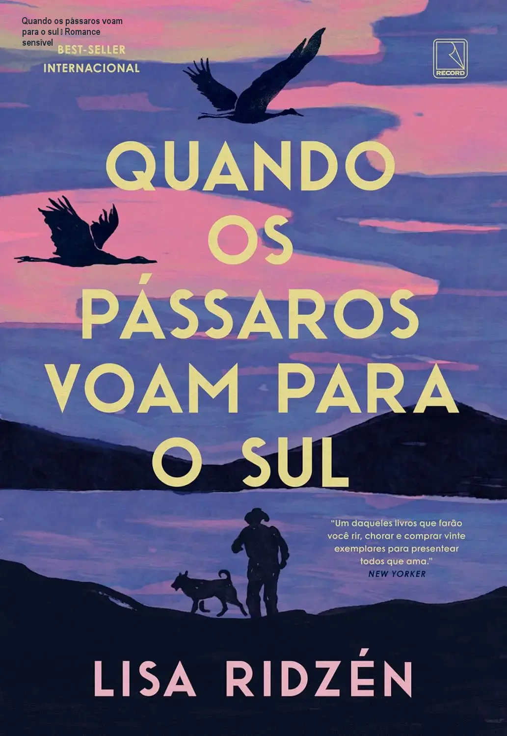 quando os passaros voam para o sul 1