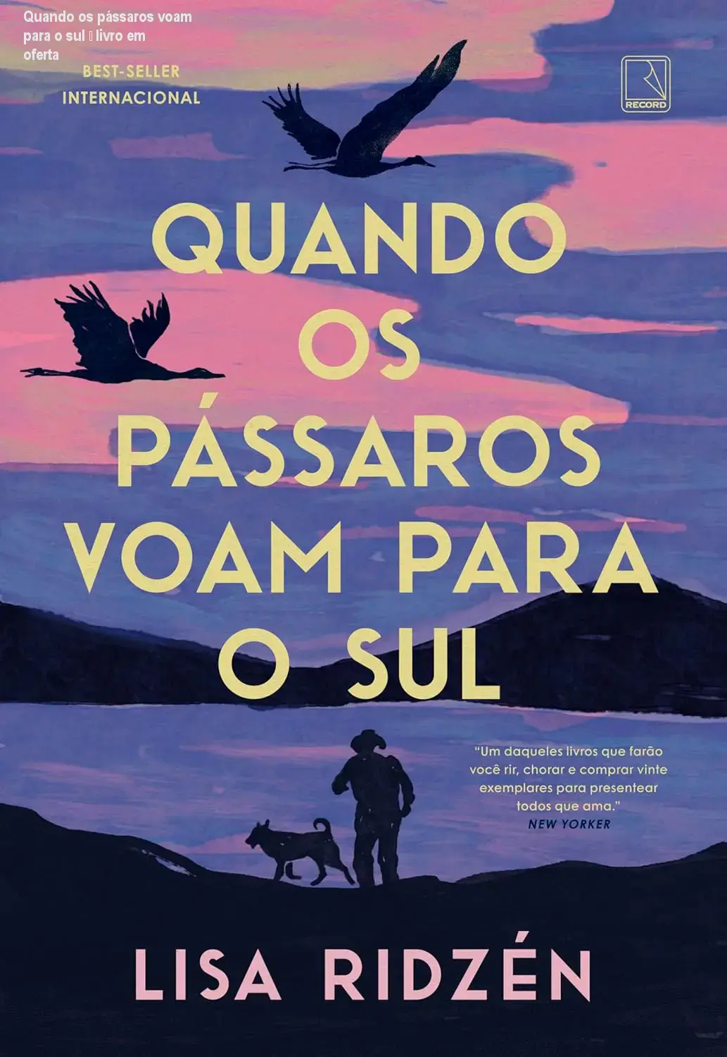 quando os passaros voam para o sul ebook capa 1