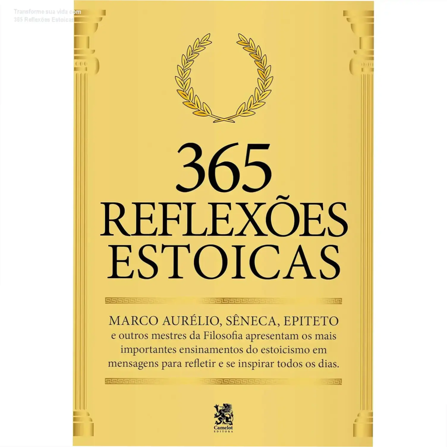 Leitor apreciando 365 Reflexões Estoicas em formato ebook