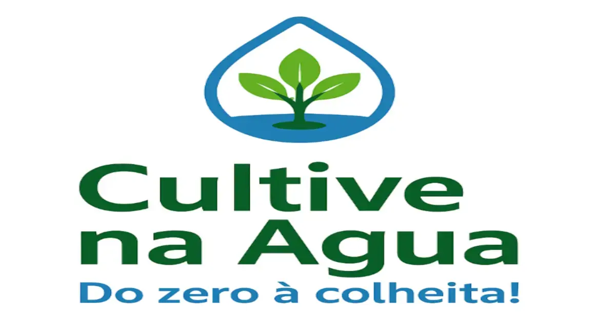 bruno palma cultive na agua do zero a colheita 2 1
