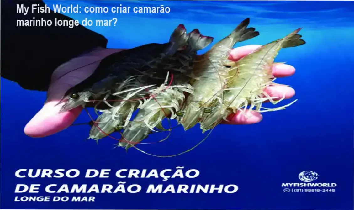 Instrutor da My Fish World apresentando o Curso de Criação de Camarão Marinho Longe do Mar
